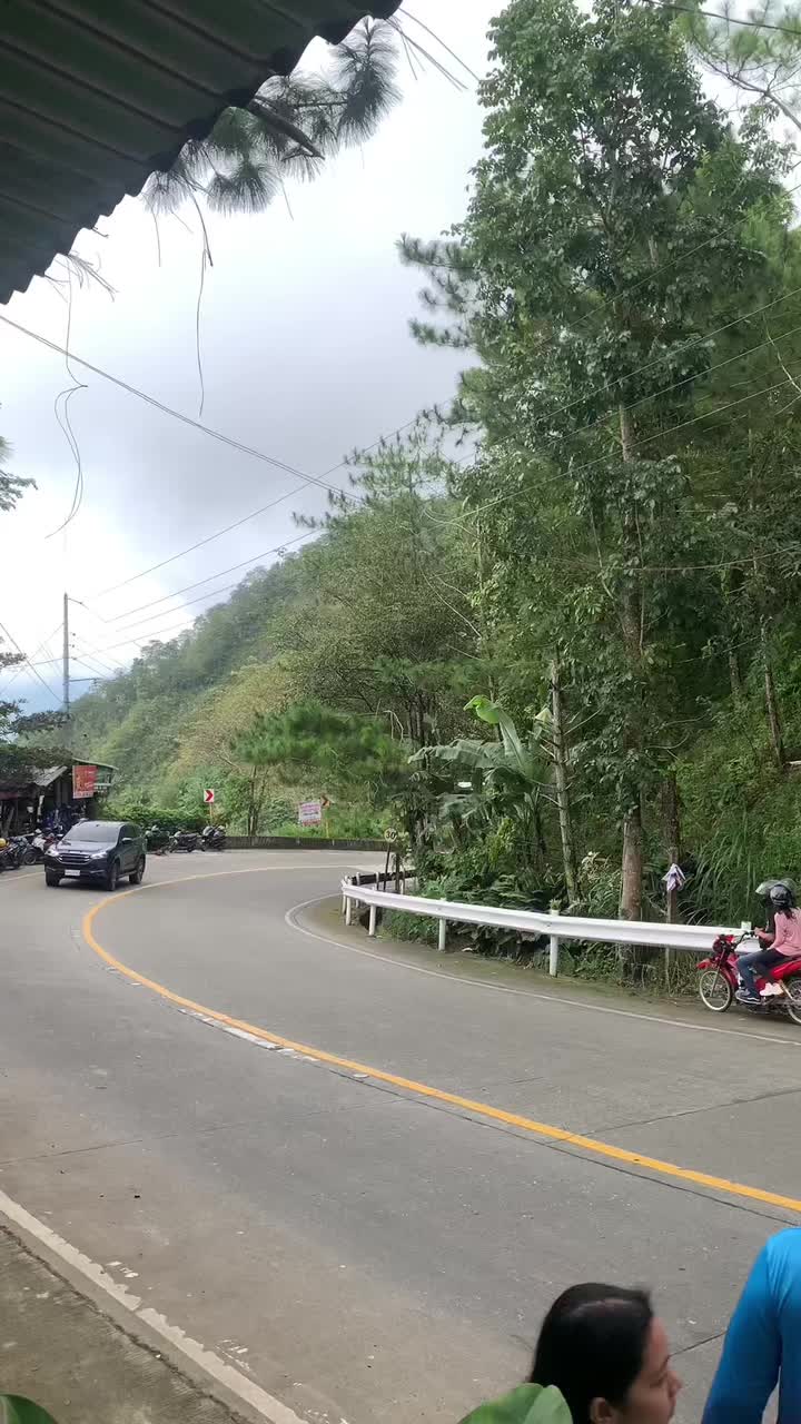 @Bulacao Vines