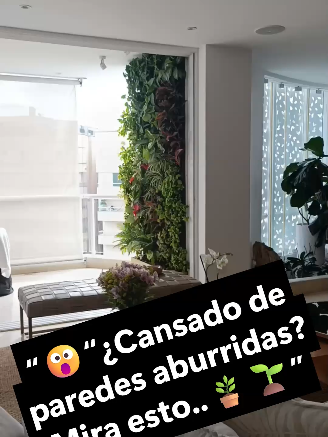 @🪴TODO VERDE🌿