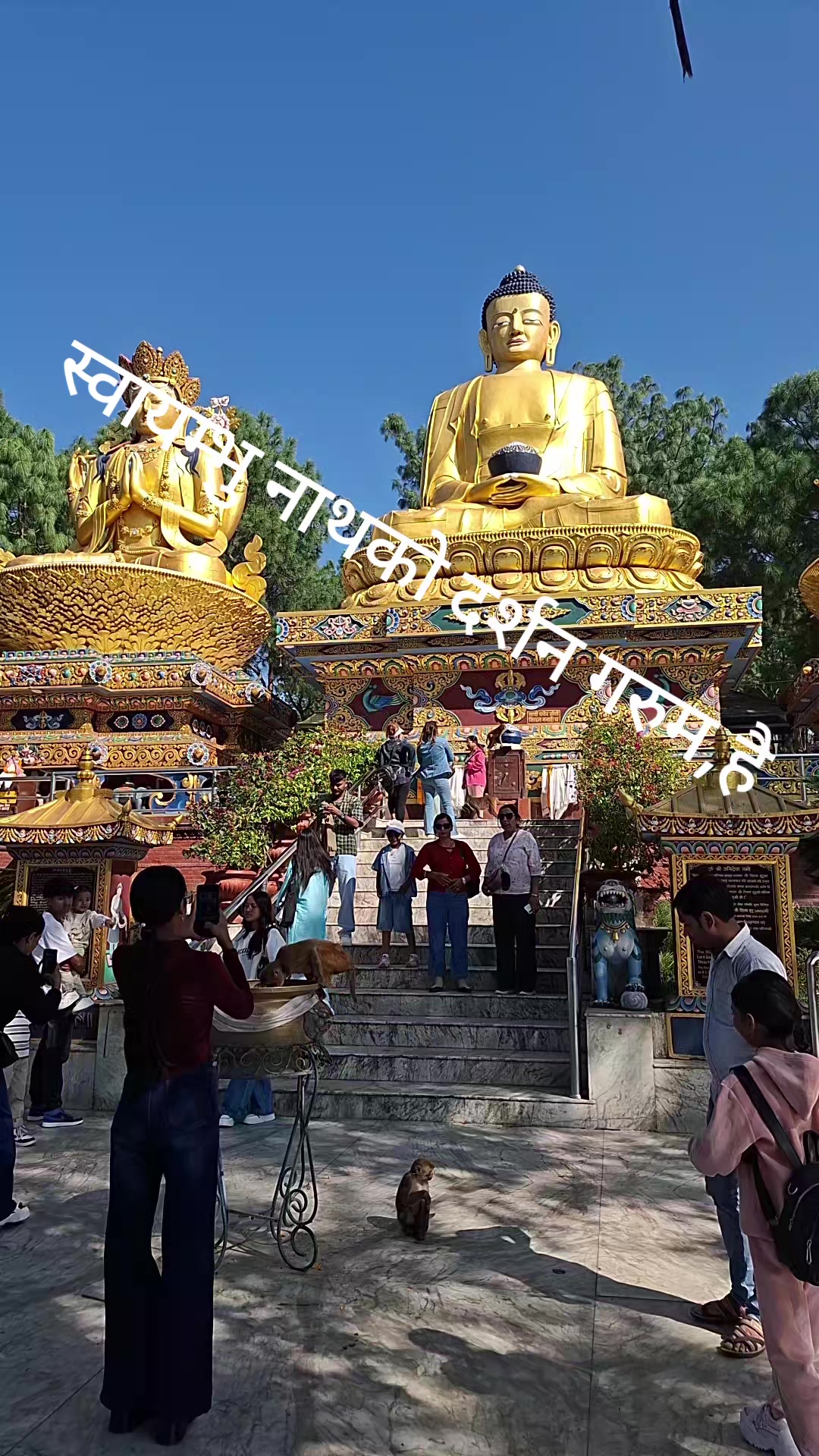 @Jeevan Lama