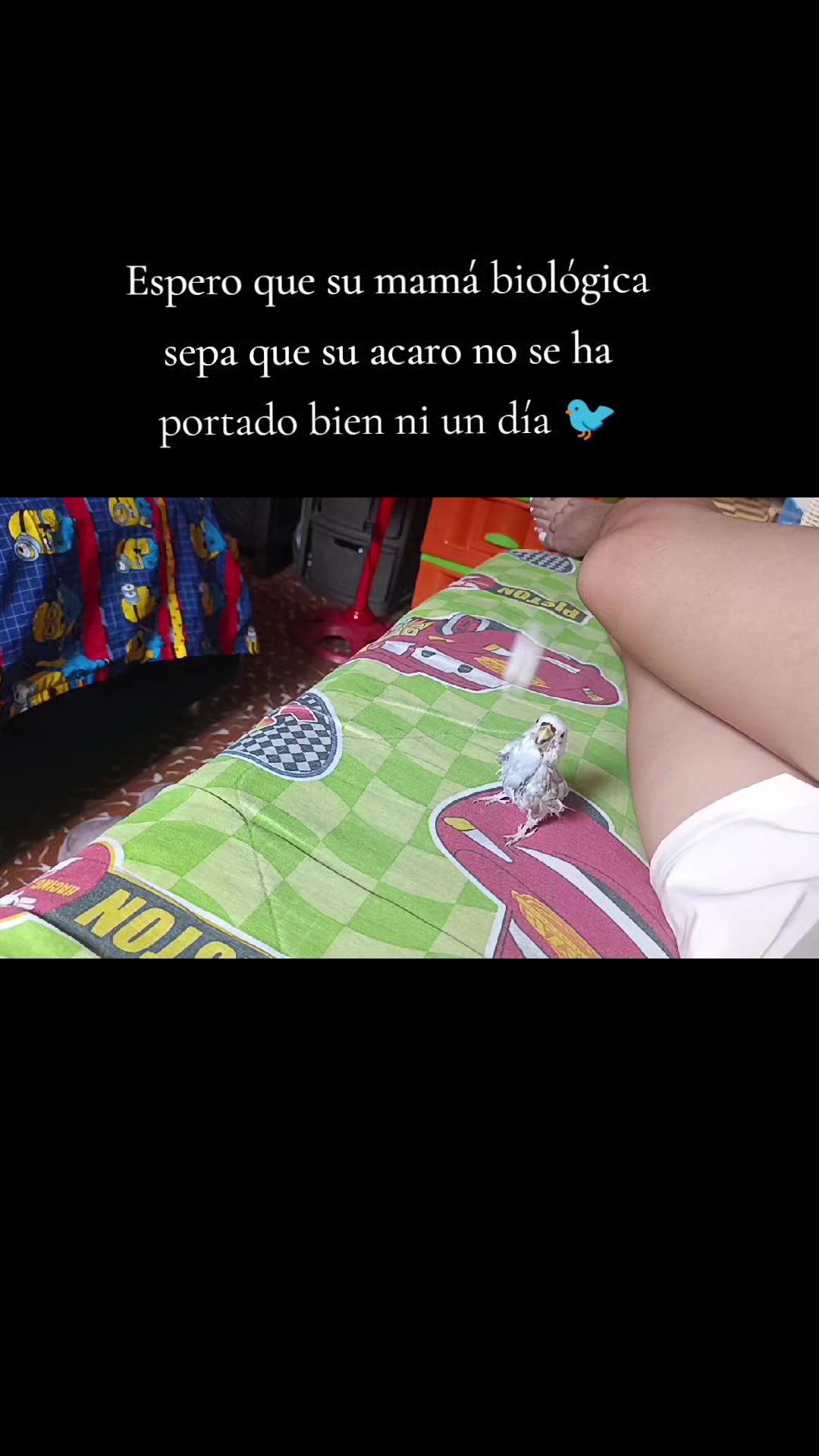 @🤎Nat🪶❤️&zwj;🔥
