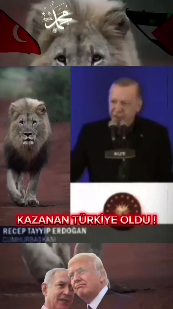 @🇹🇷🦈 Yavuz Ayık