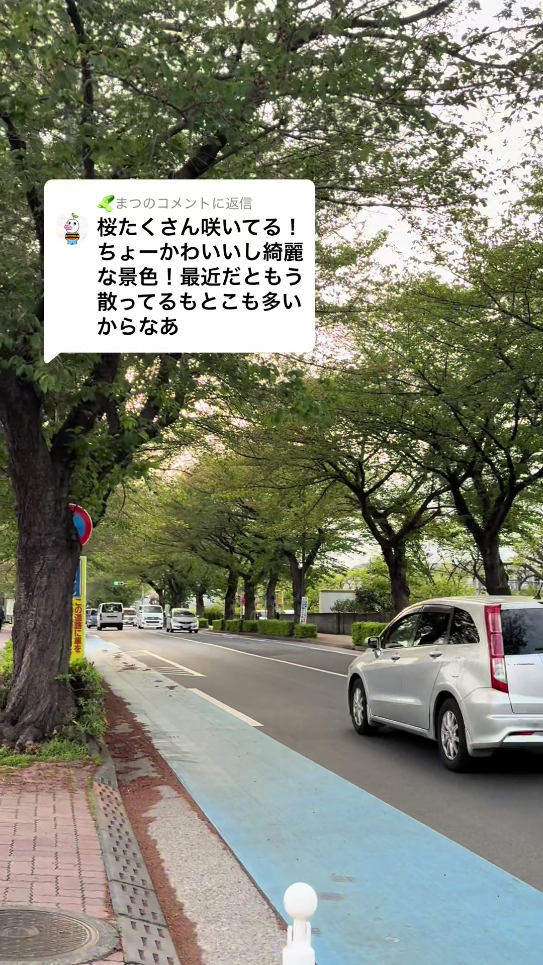 @Yoko
