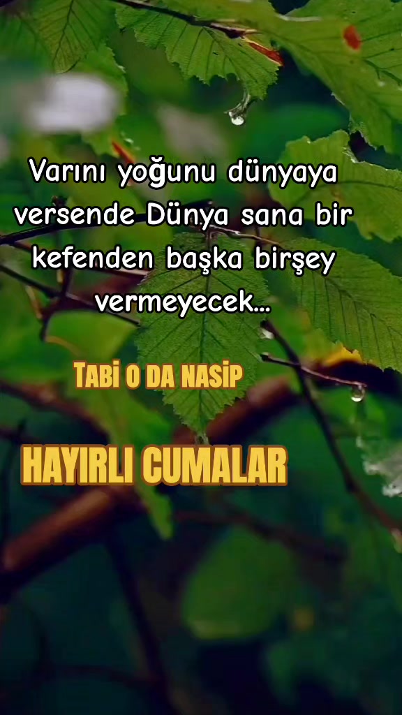 @aysel_ 2734