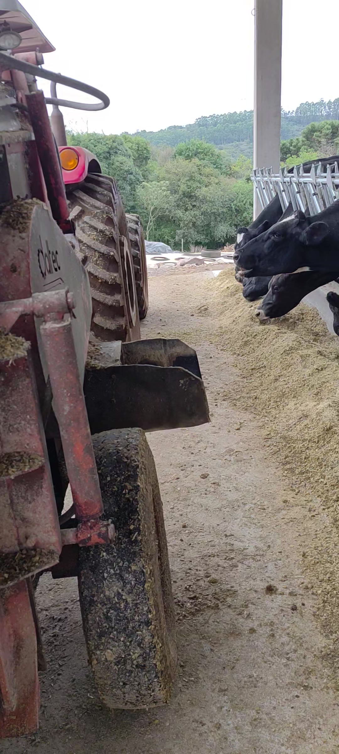 @agro é tudo beltrame