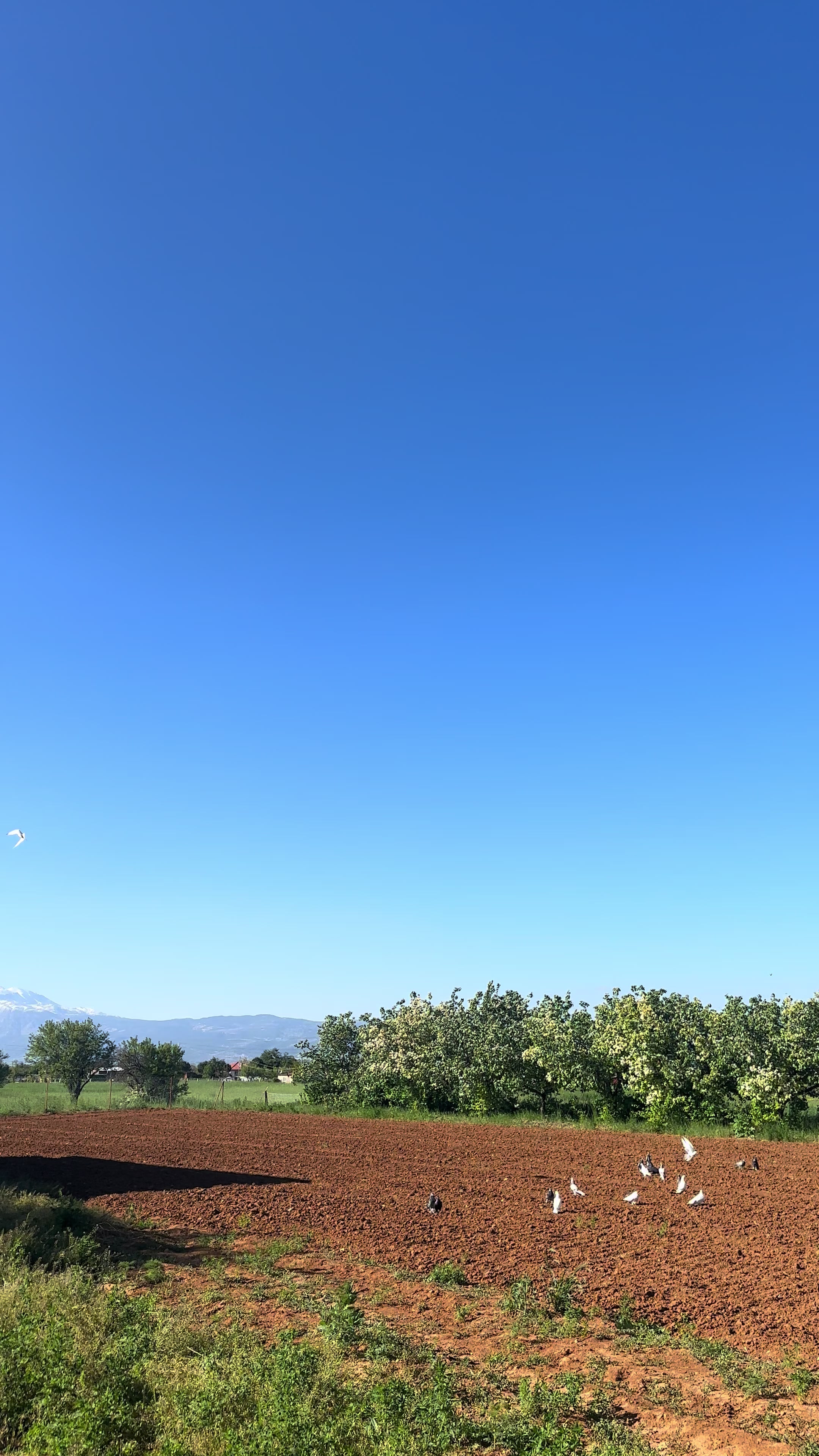 @Çetin BATUR