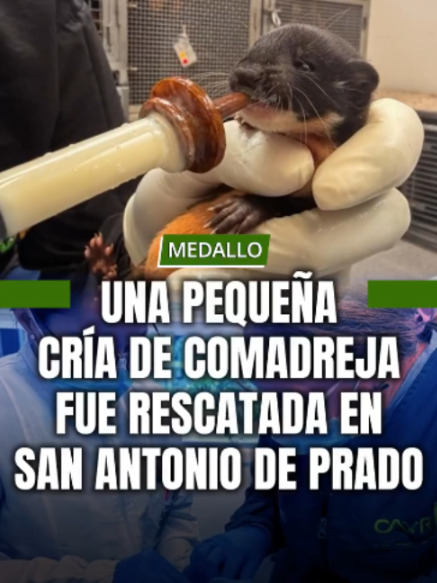 @MINUTO30