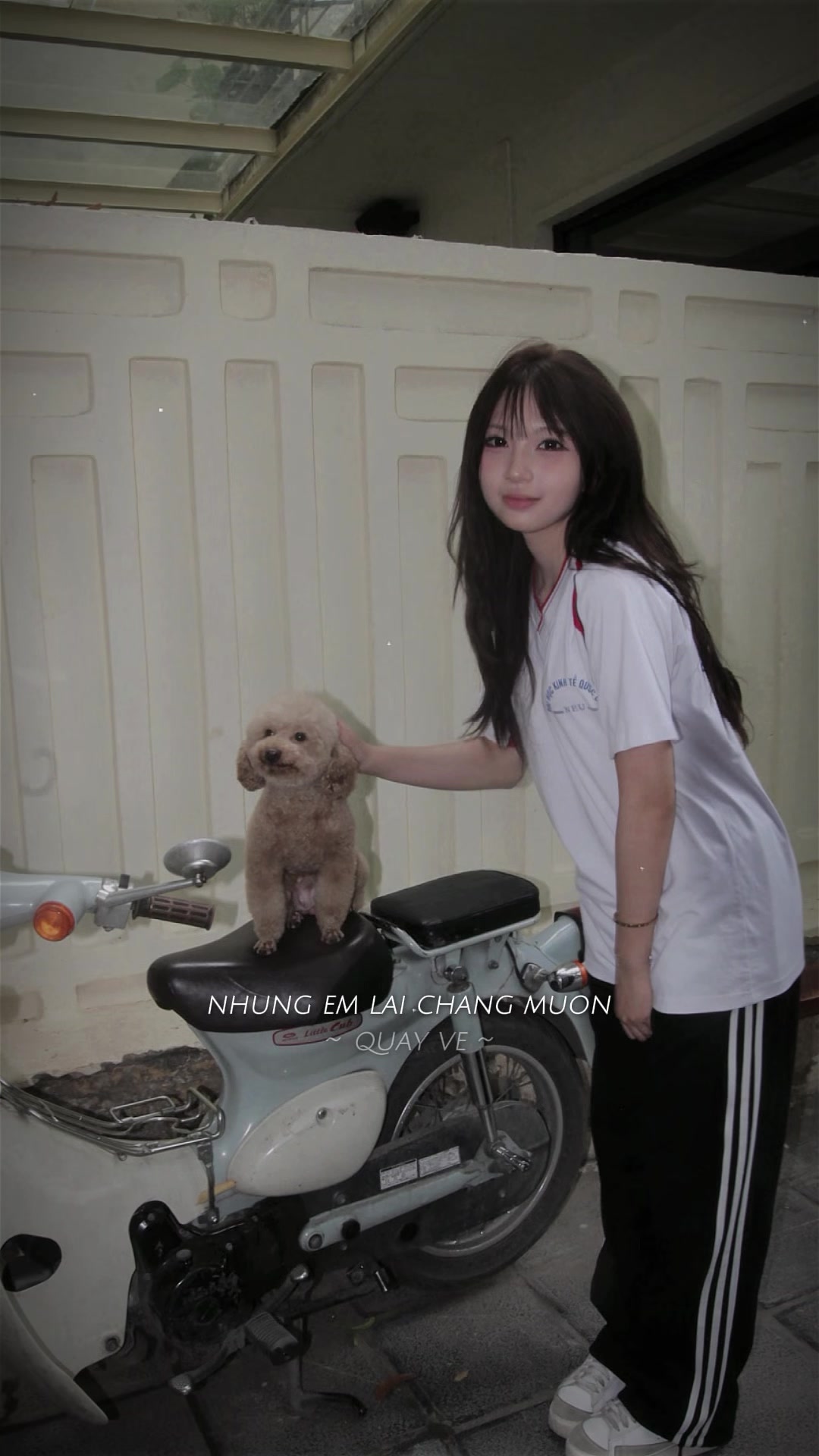 @Xính gai