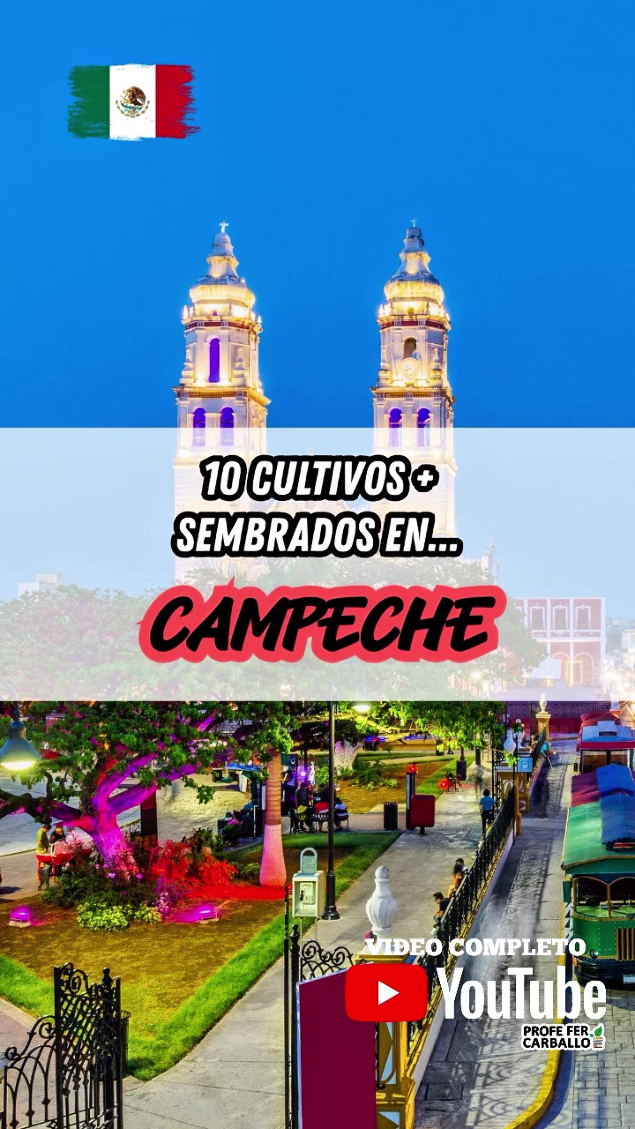 @Profe Fer Carballo