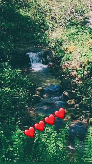 @Doğada yaşam