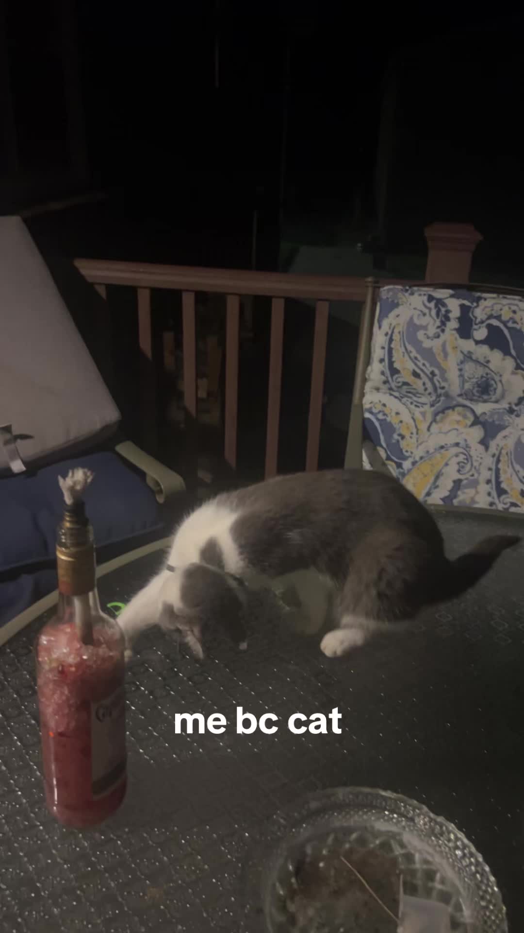 @️nikki😝