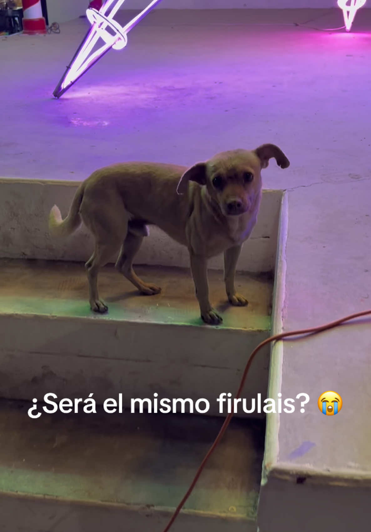 @MrRuiz