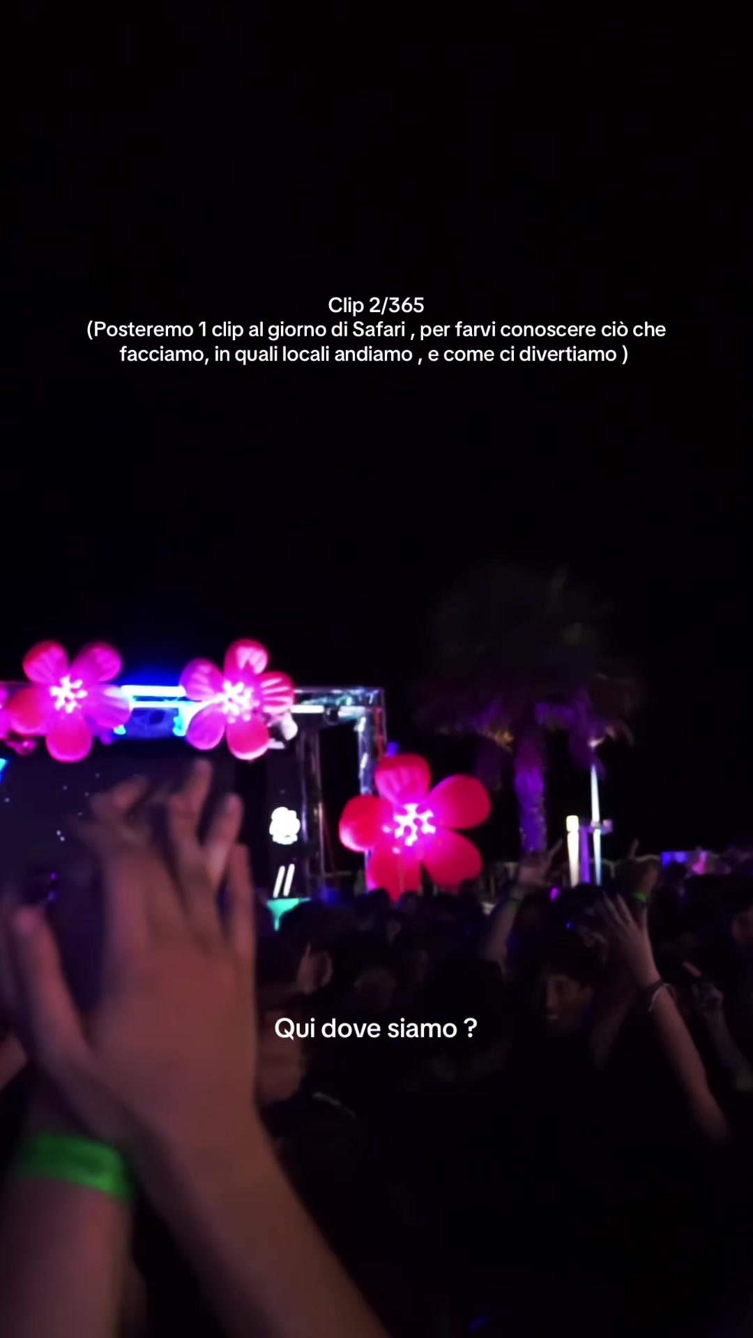 @FIESTASAFARIOFFICIAL