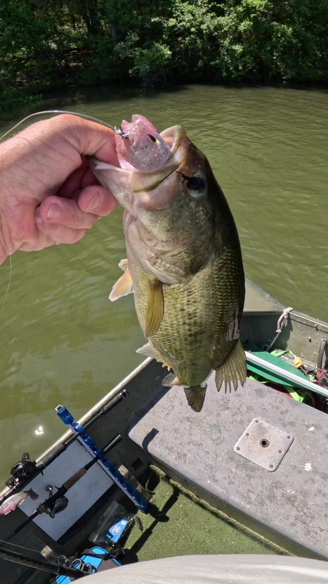 @Tacklehead Fishing