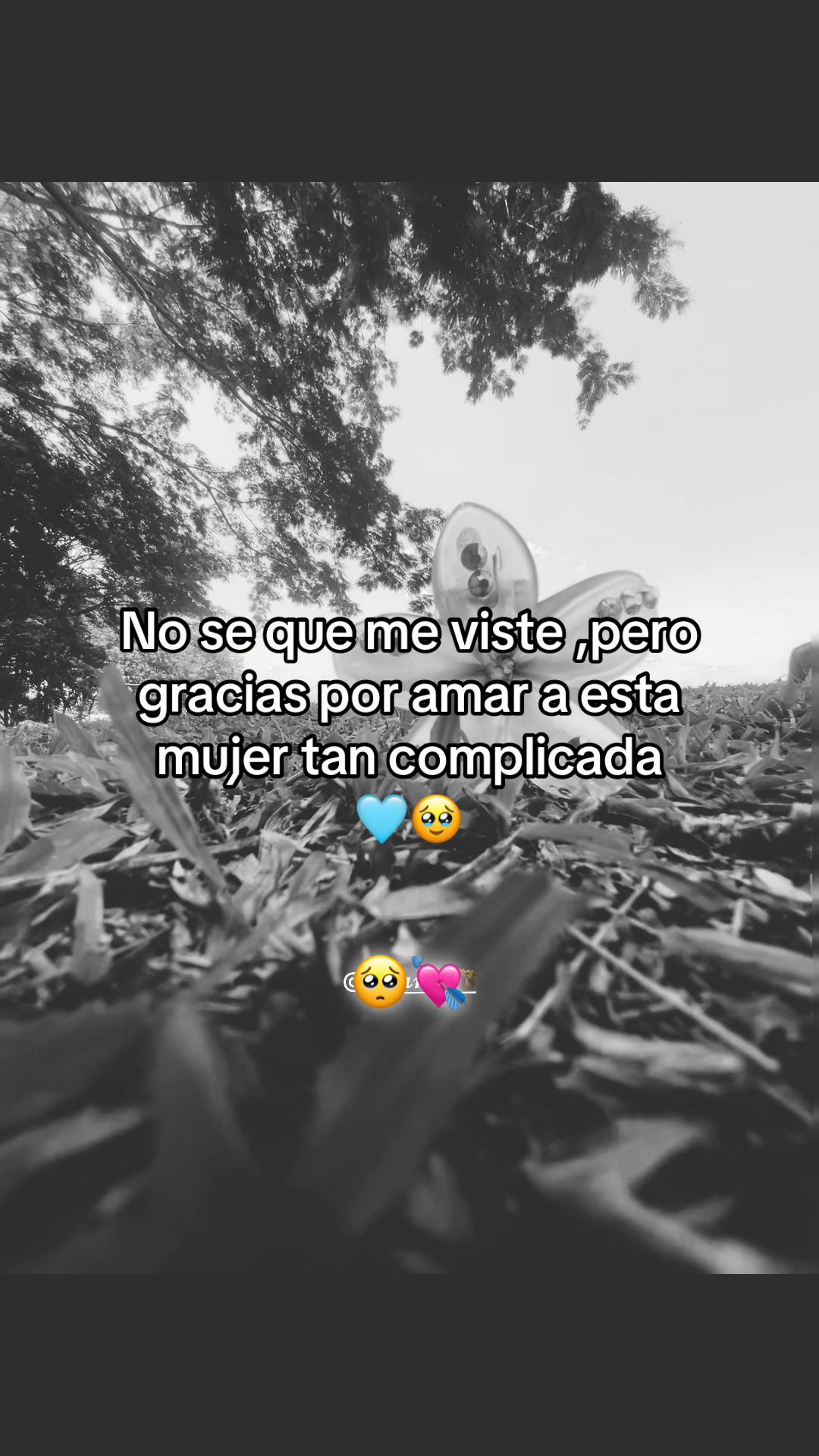 @𝓔𝓵𝔂.➳💔︎︎👤