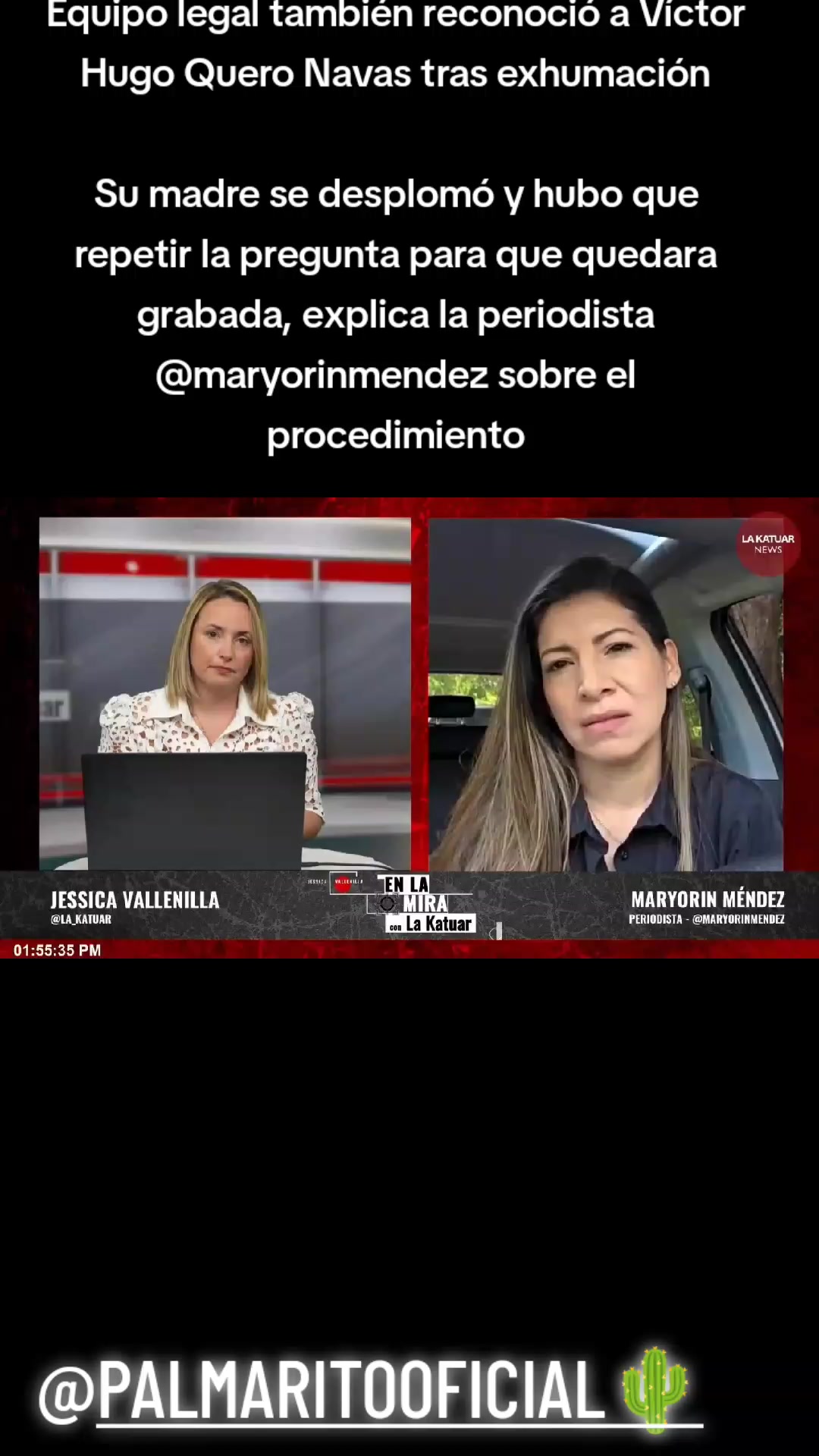@PALMARITOOFICIAL 🌵