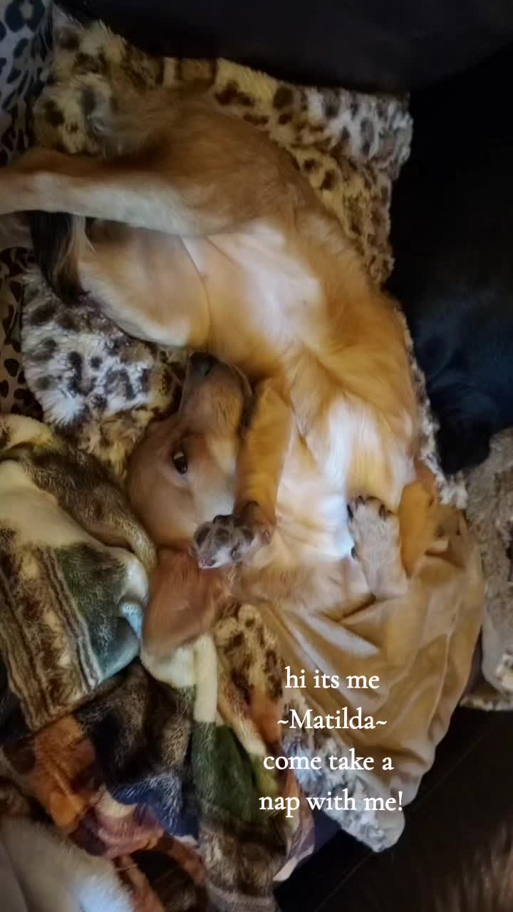 @kjones3950