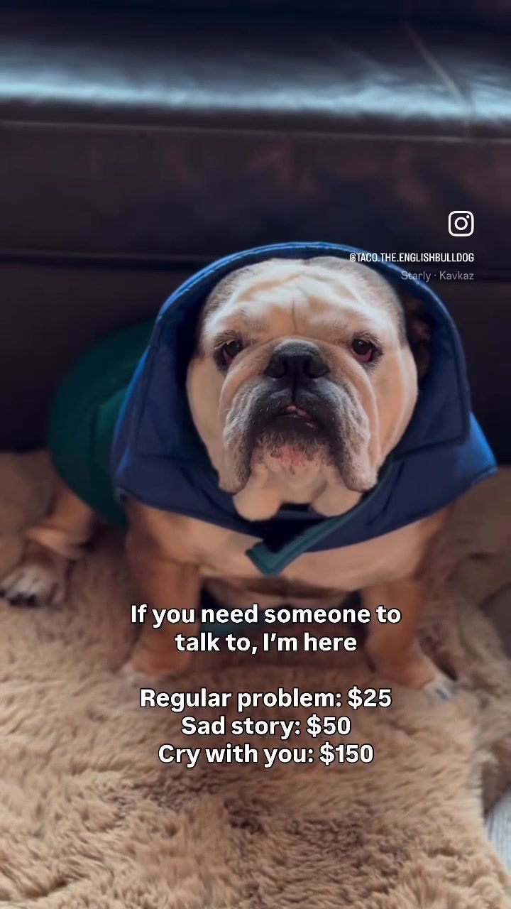 @Taco 🐶🧿
