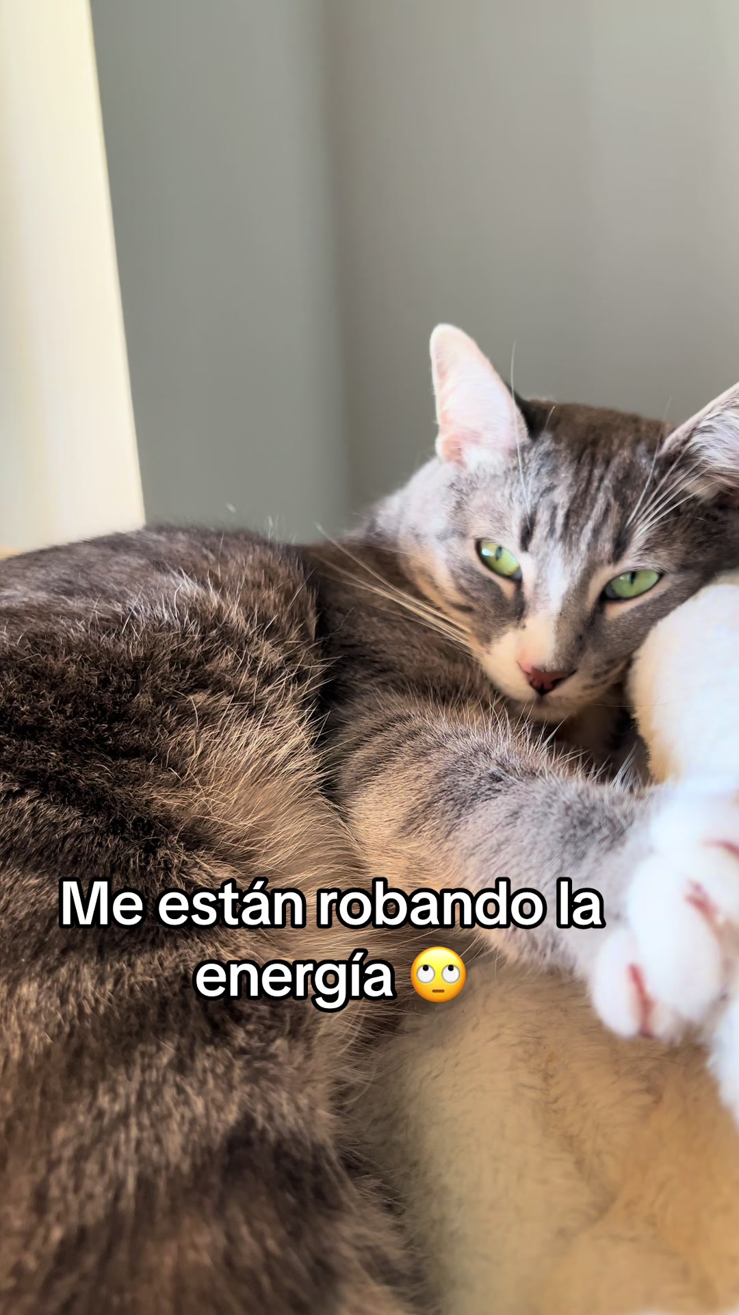 @michimatiass