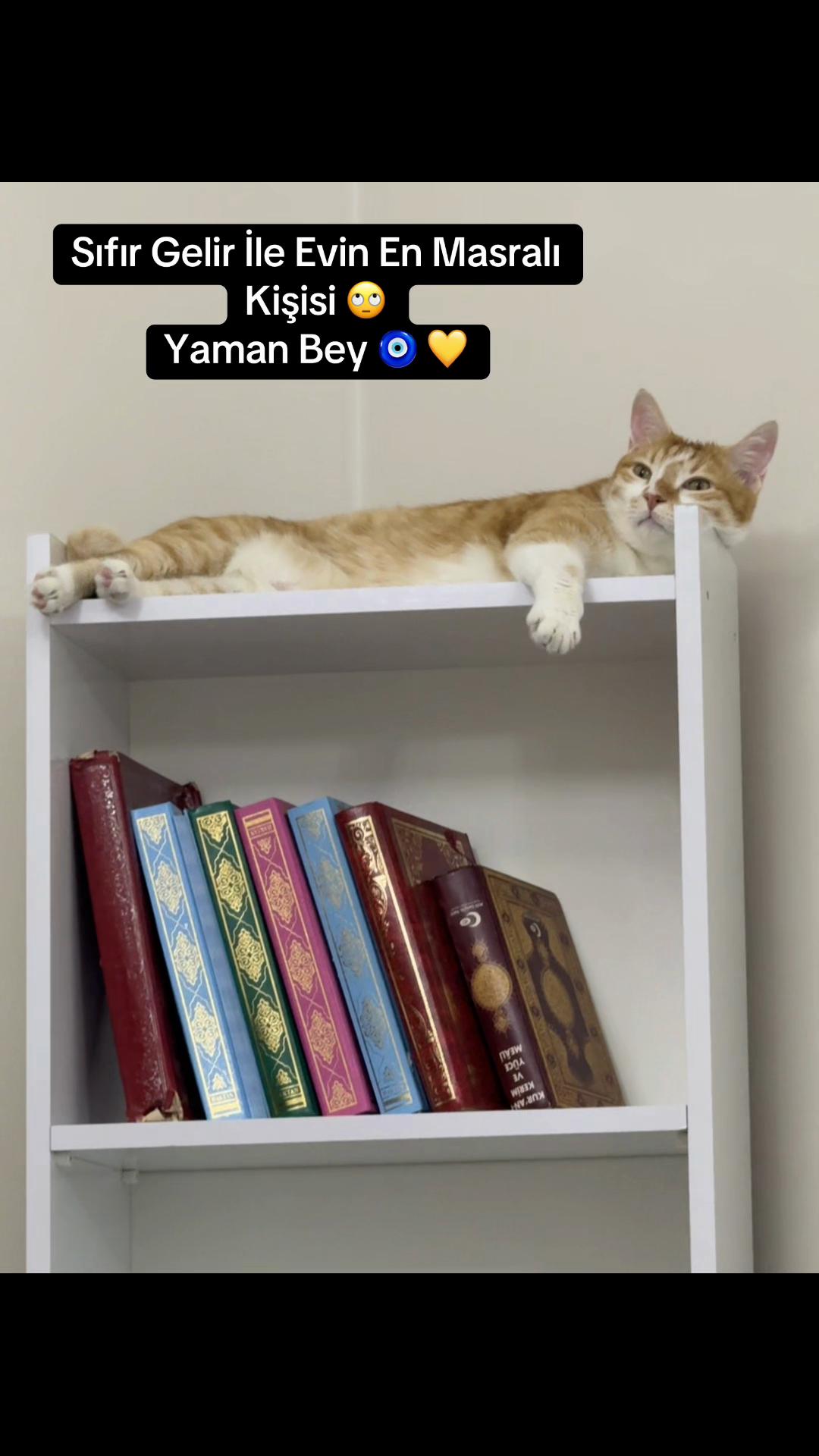 @Süha Yaldır