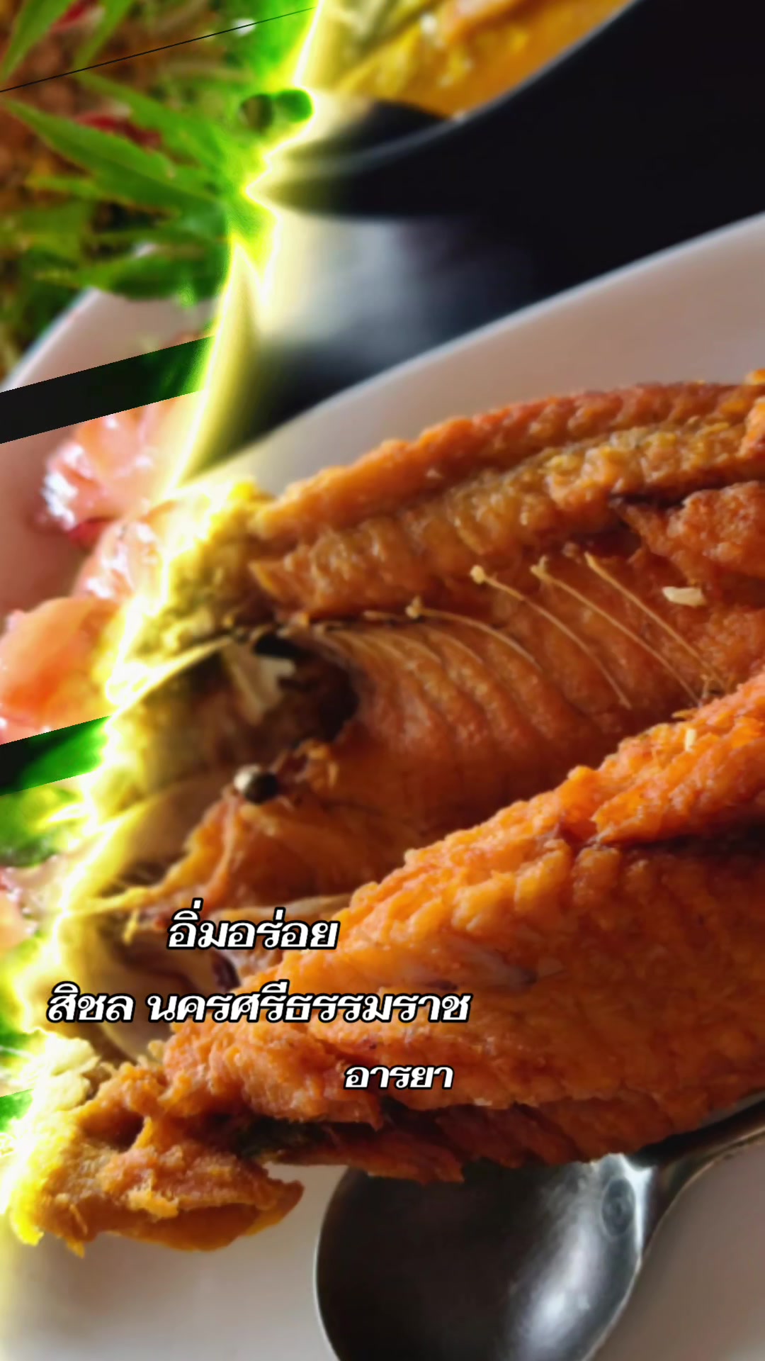 @อารยา araya