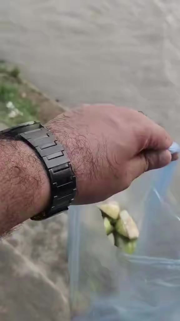 @ᗰᗩᕼᔕᗩᑎ