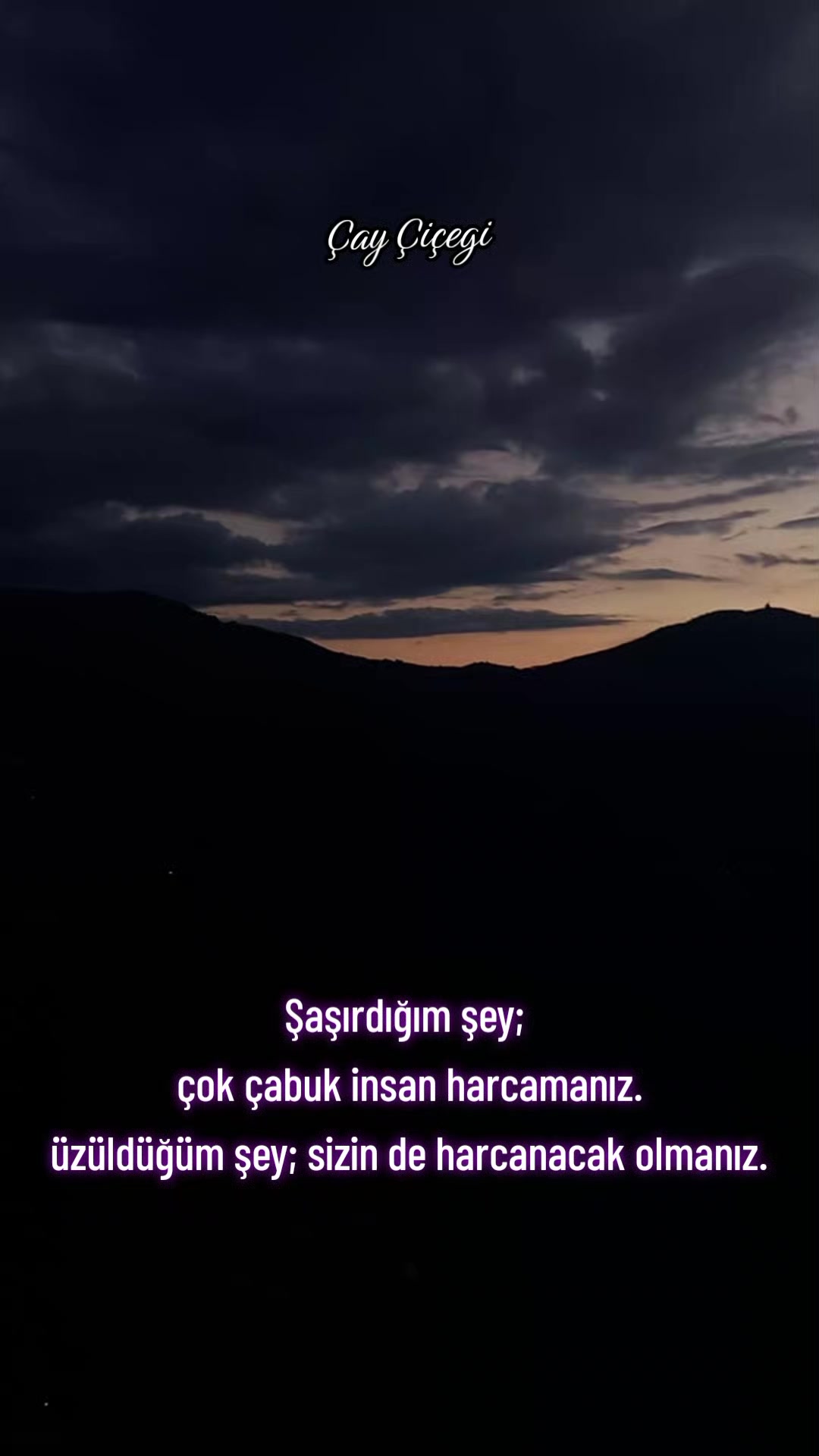 @Çay çiçeği-53