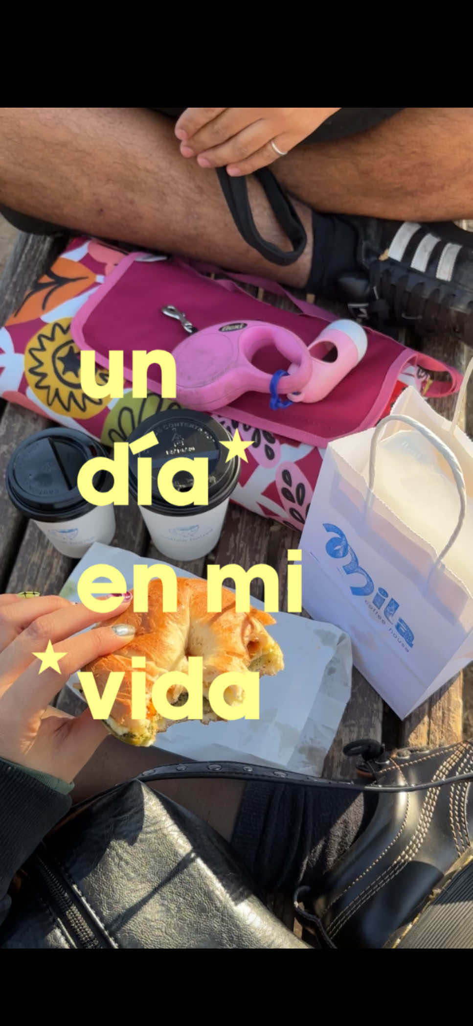 @catalina ⋆˚✿˖&deg; 𐙚