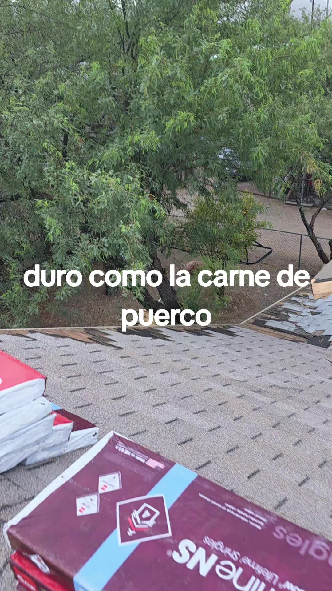 @juliandominguez247