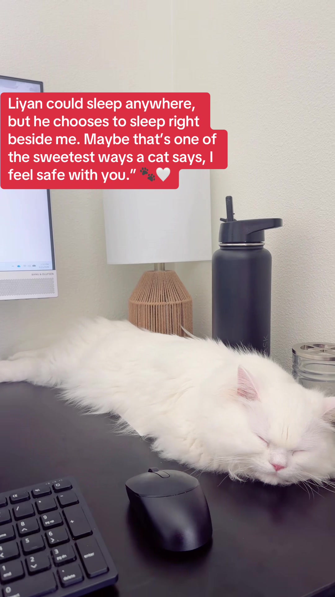 @Laily&Liyan 🐾