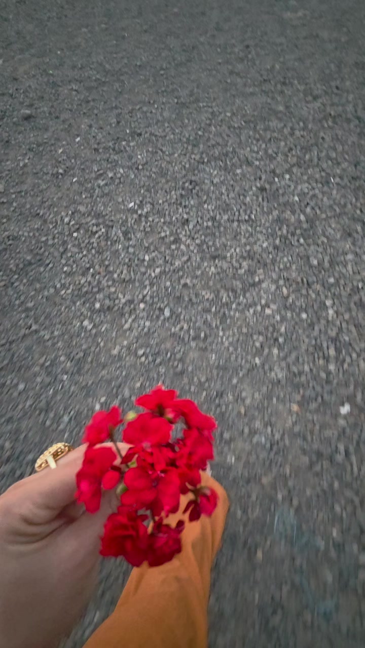 @Aynur Memmedova