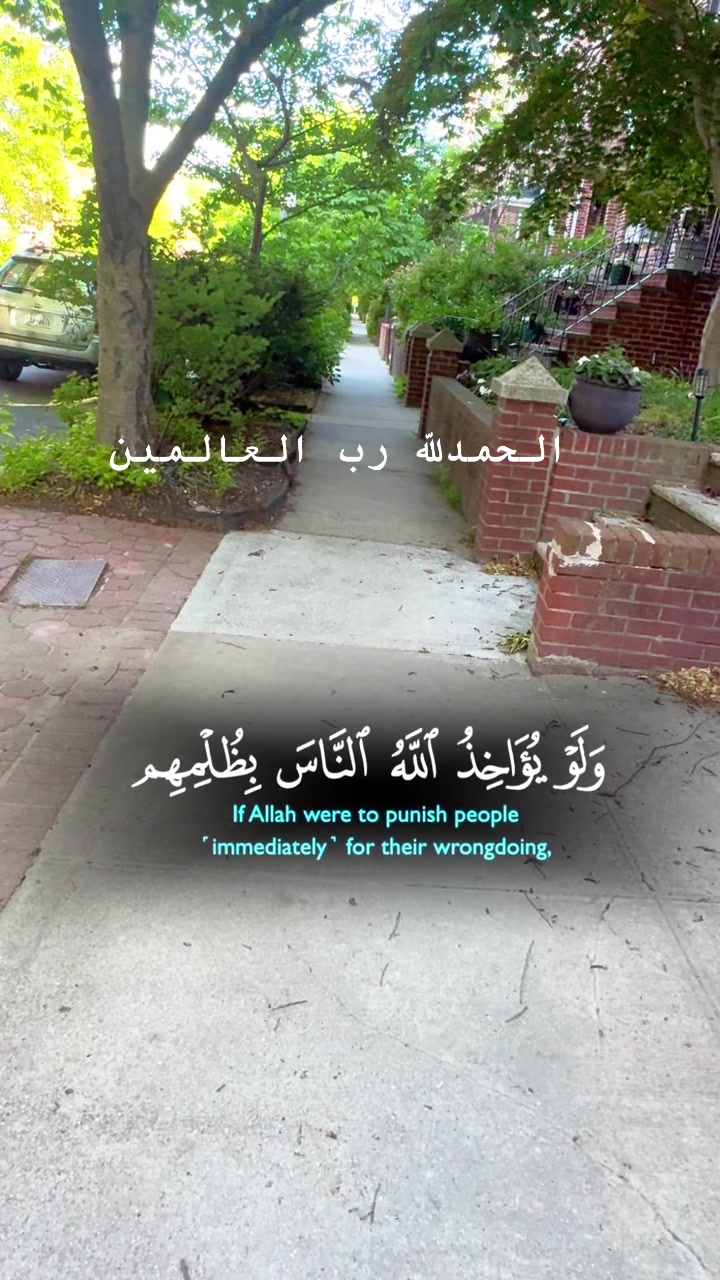 @«☆🇪🇬🦋𝑬𝒎⇣͢⃝🪐𝒂𝒂𝒏☆«•🇺🇸