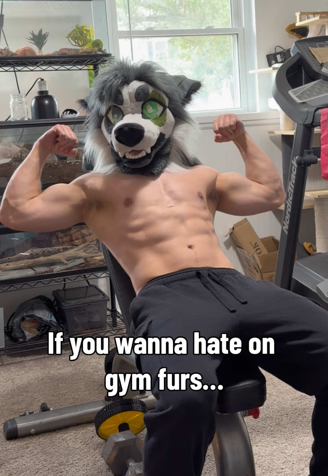 @Mossisdead
