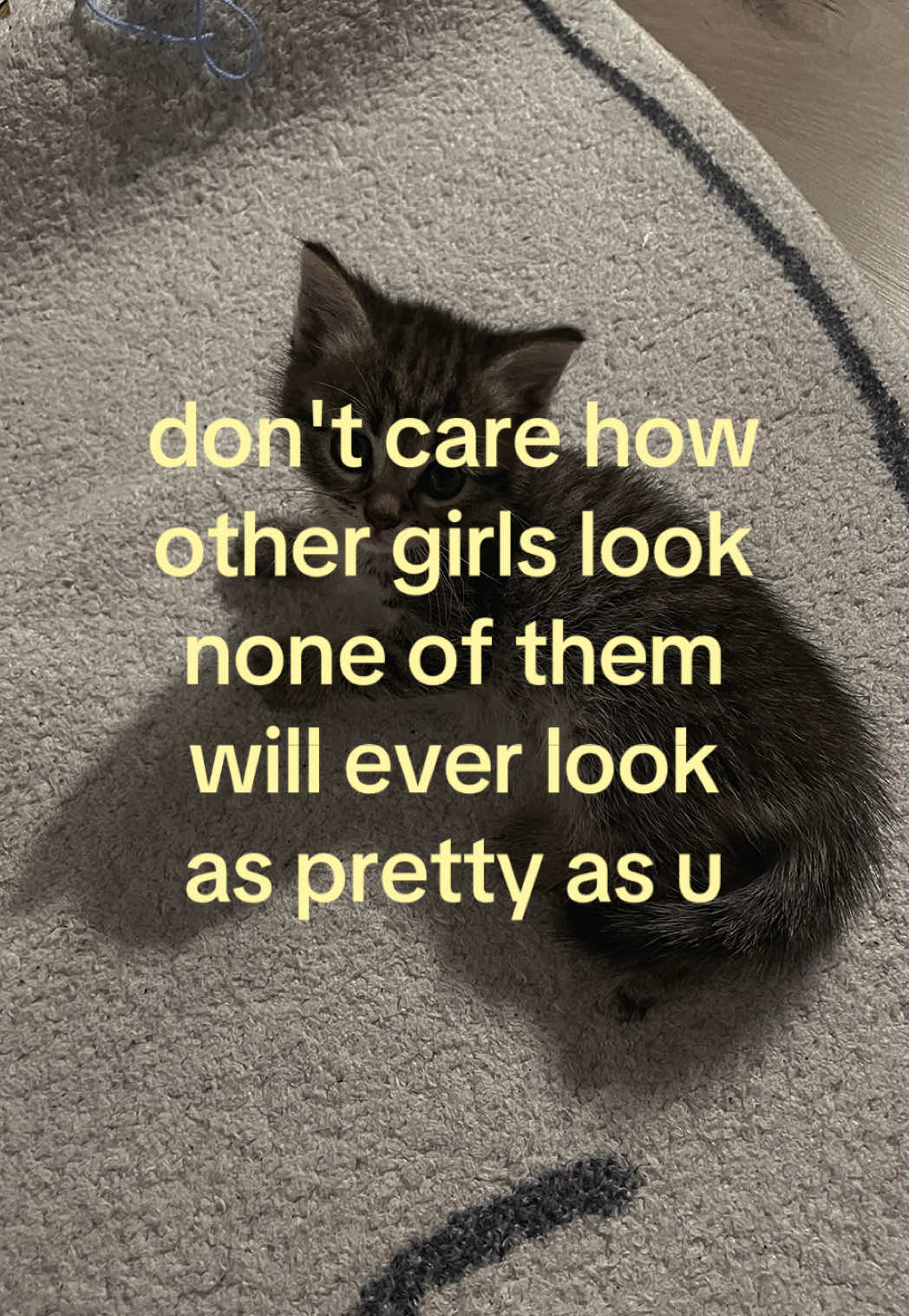 @caughtafeeling