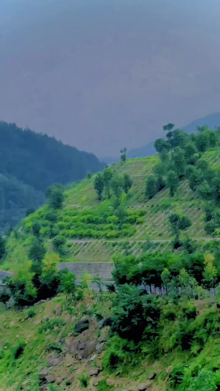 @shafoo_099
