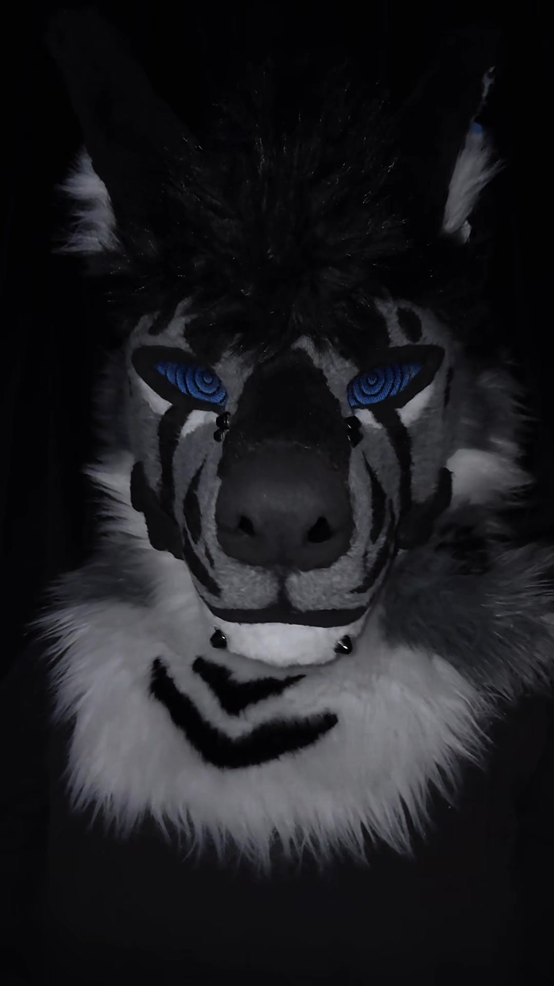 @sonar_hyena_shark