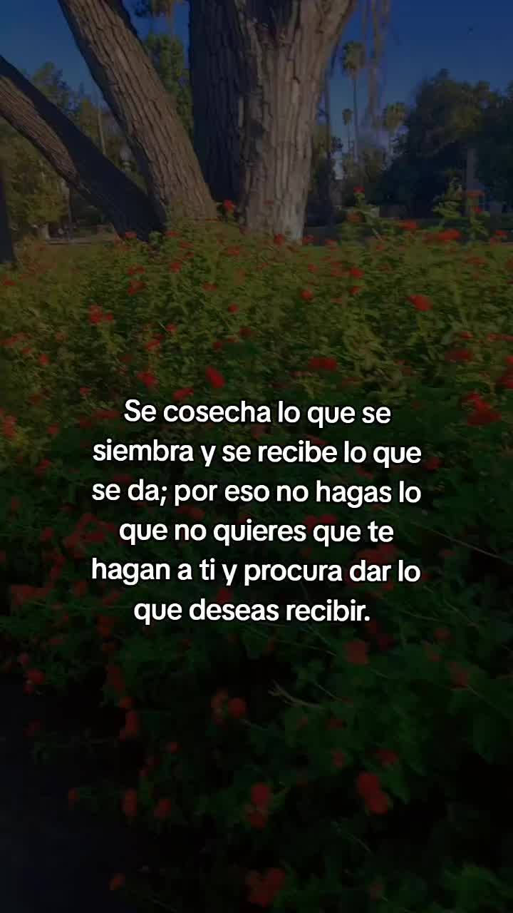 @la jarochita ๐๐๐๐