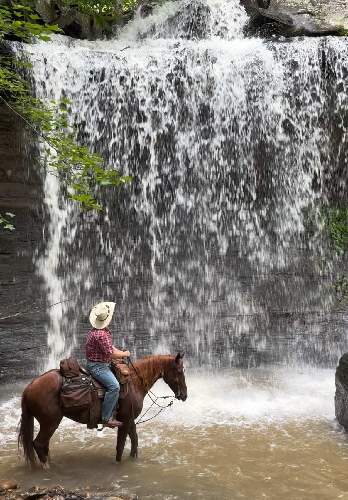 @Densmore Ranch