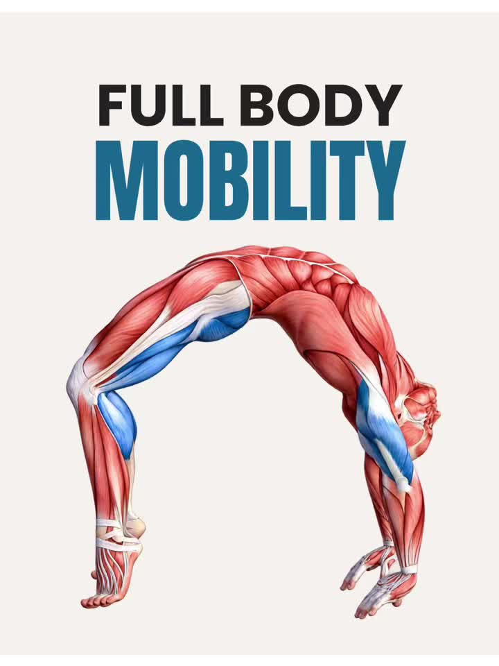 @PT Vitals | Mobility