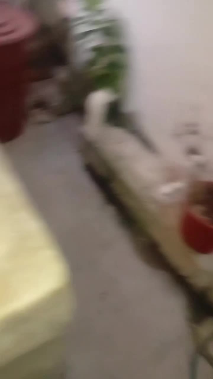 @tio_moyka3