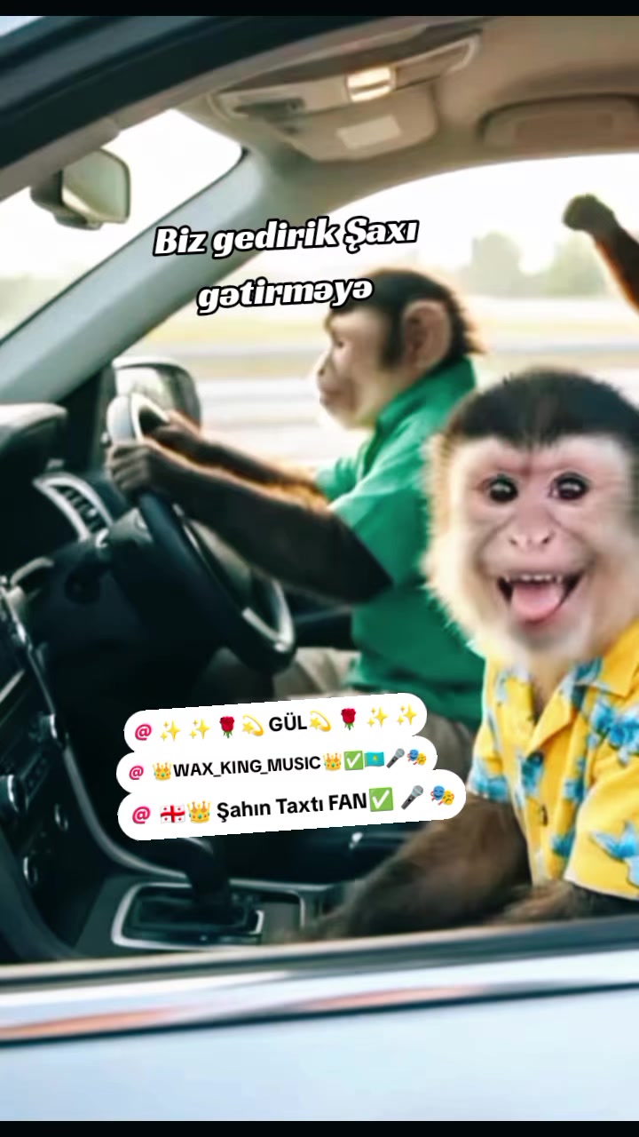 @☬TALIŞ_QIZI☬