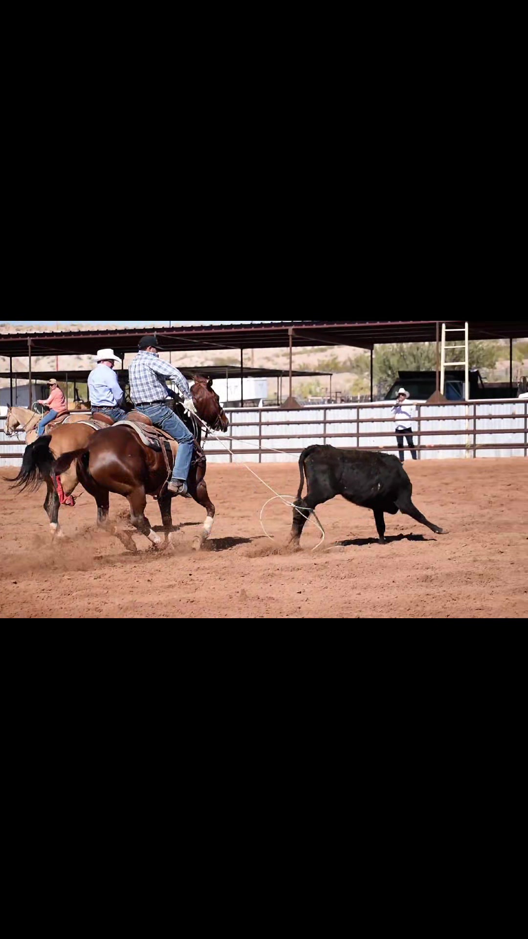 @Cowboy Code