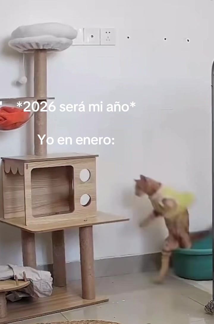 @iamnoelsolano