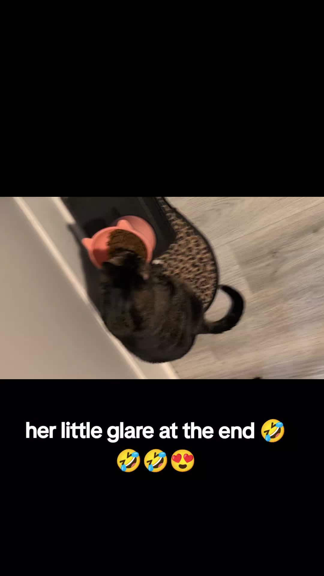 @annieinferno🇨🇦