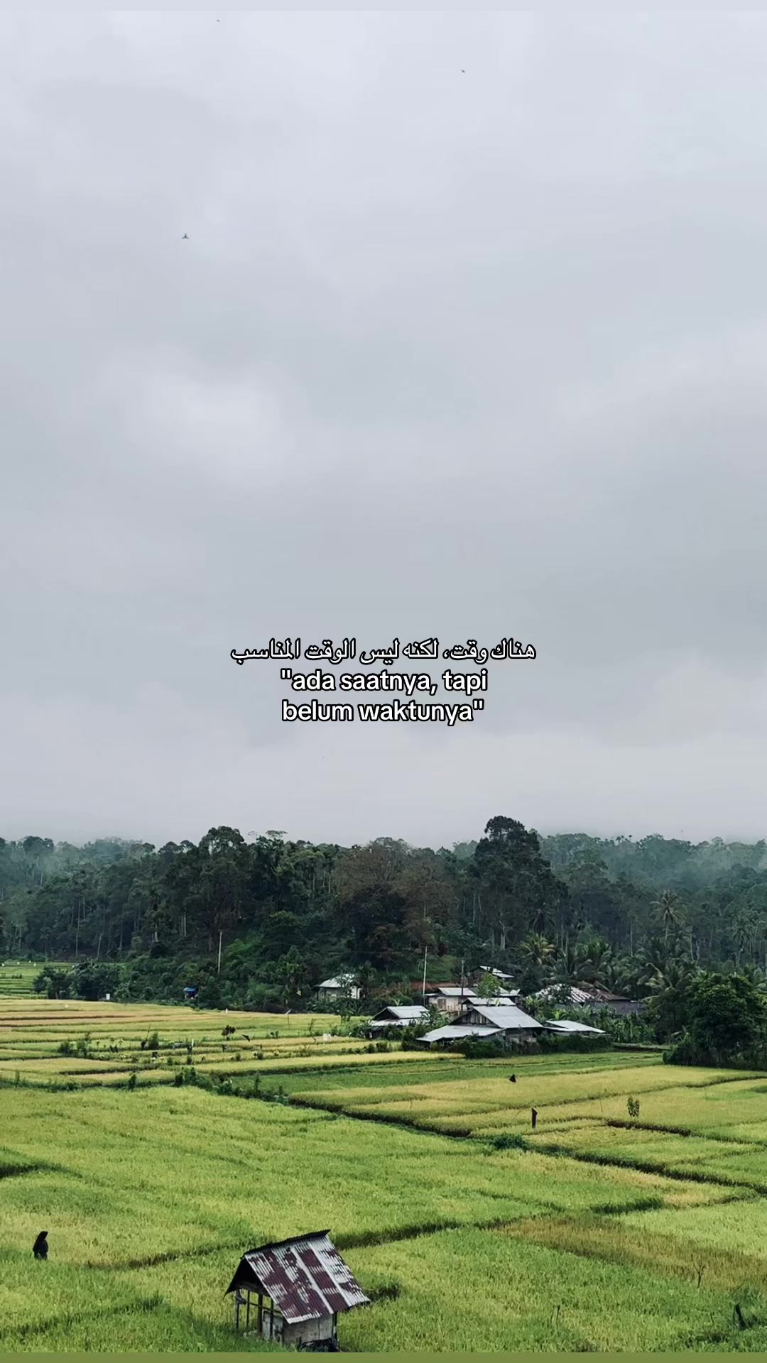 @Adoe aceh