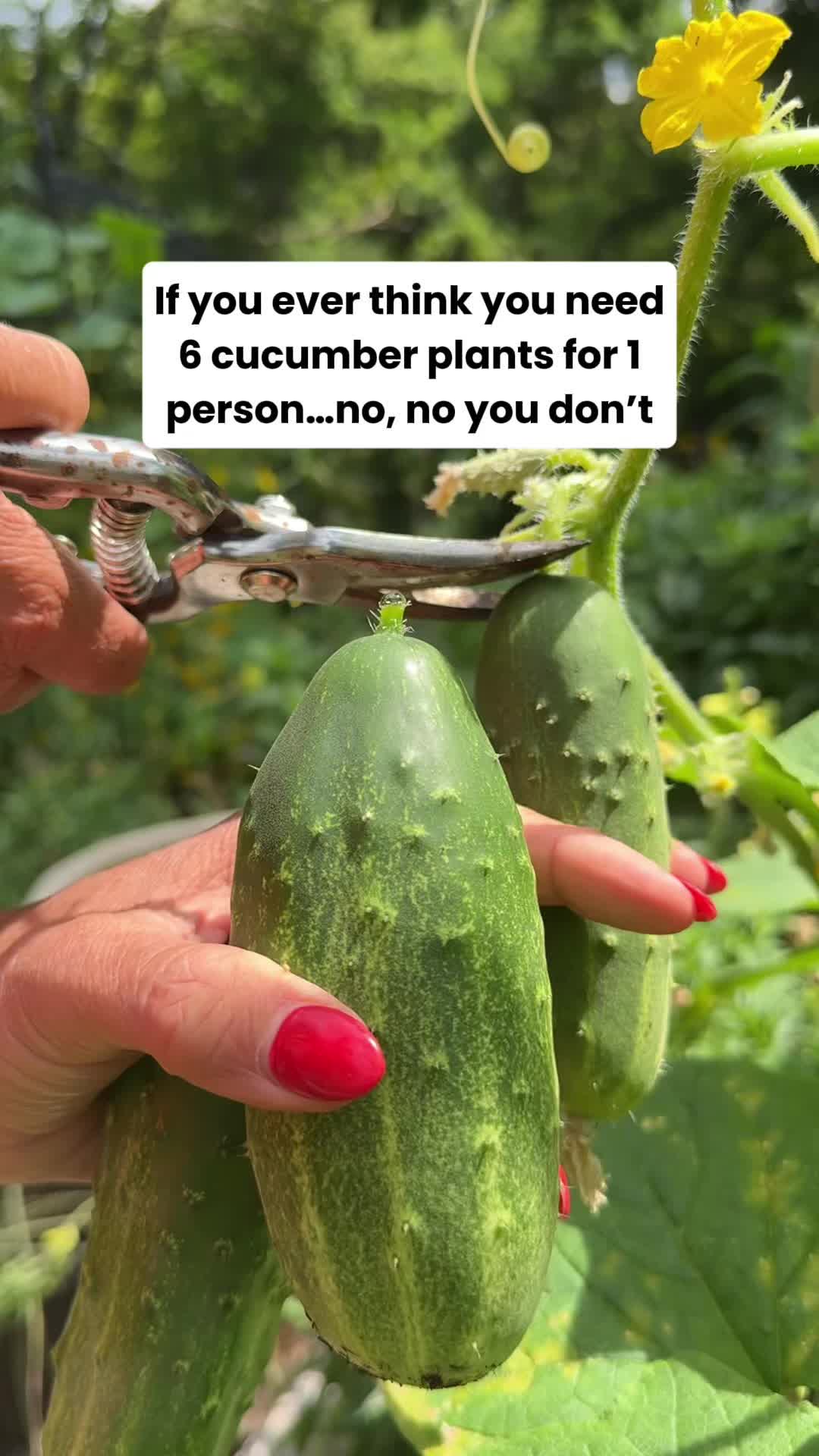 @Gardenary