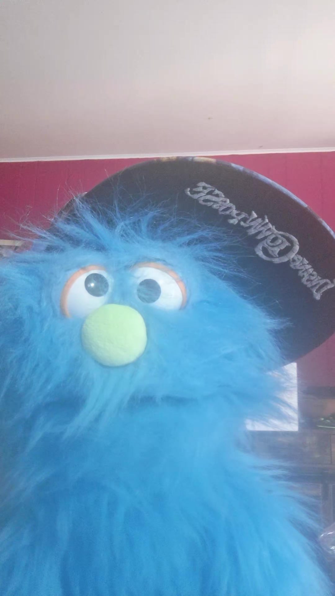 @💙pickelrick/ juggalo Muppet💙