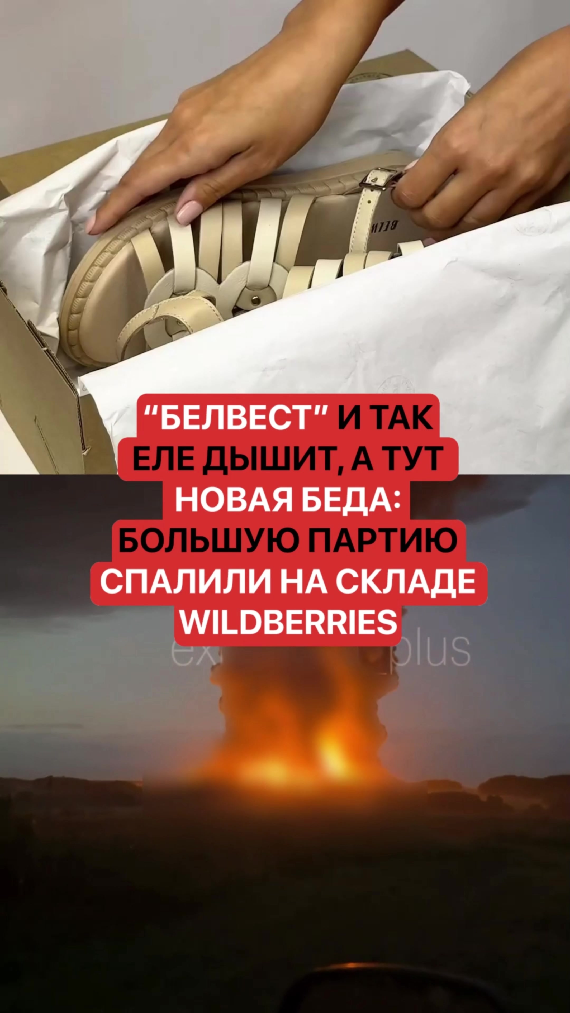 @belarusnovosti2