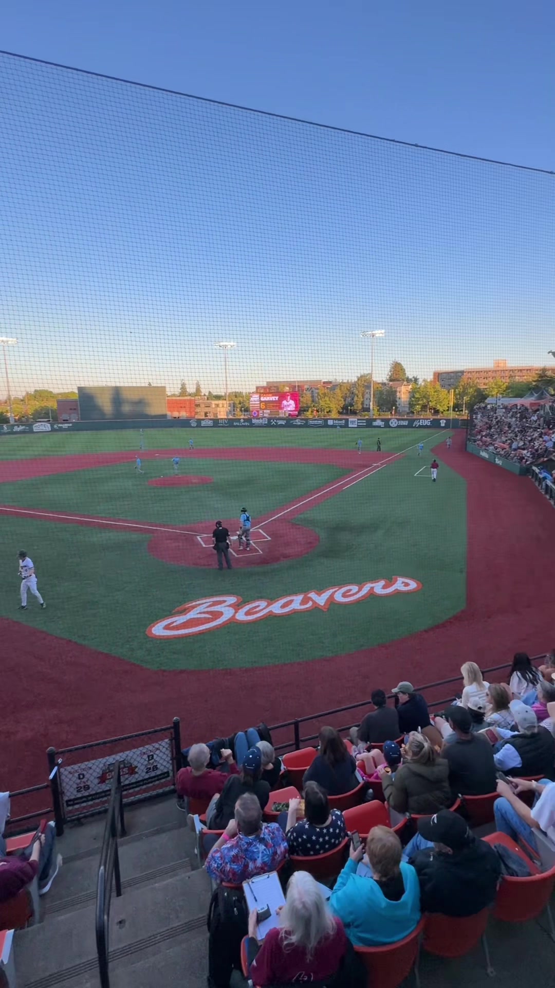 @Corvallis Knights
