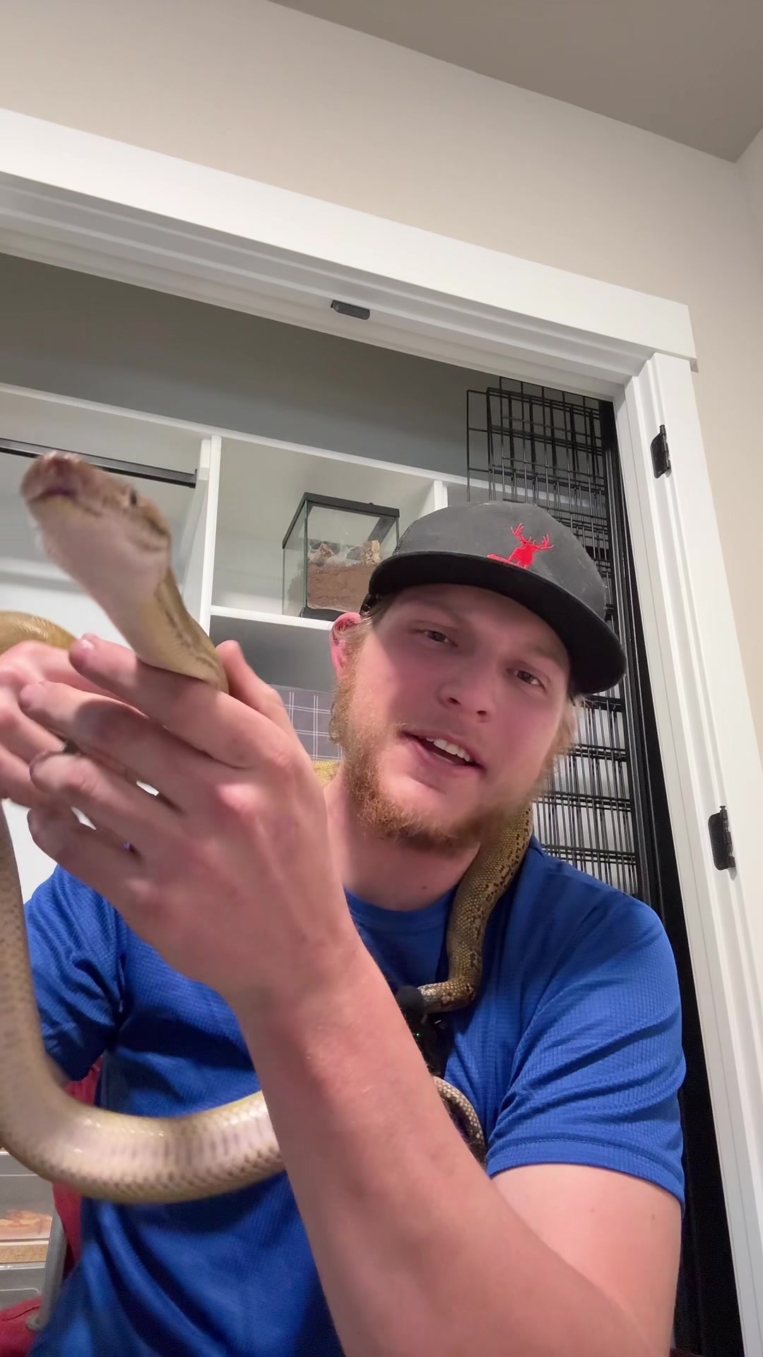 @That Reptile Guy