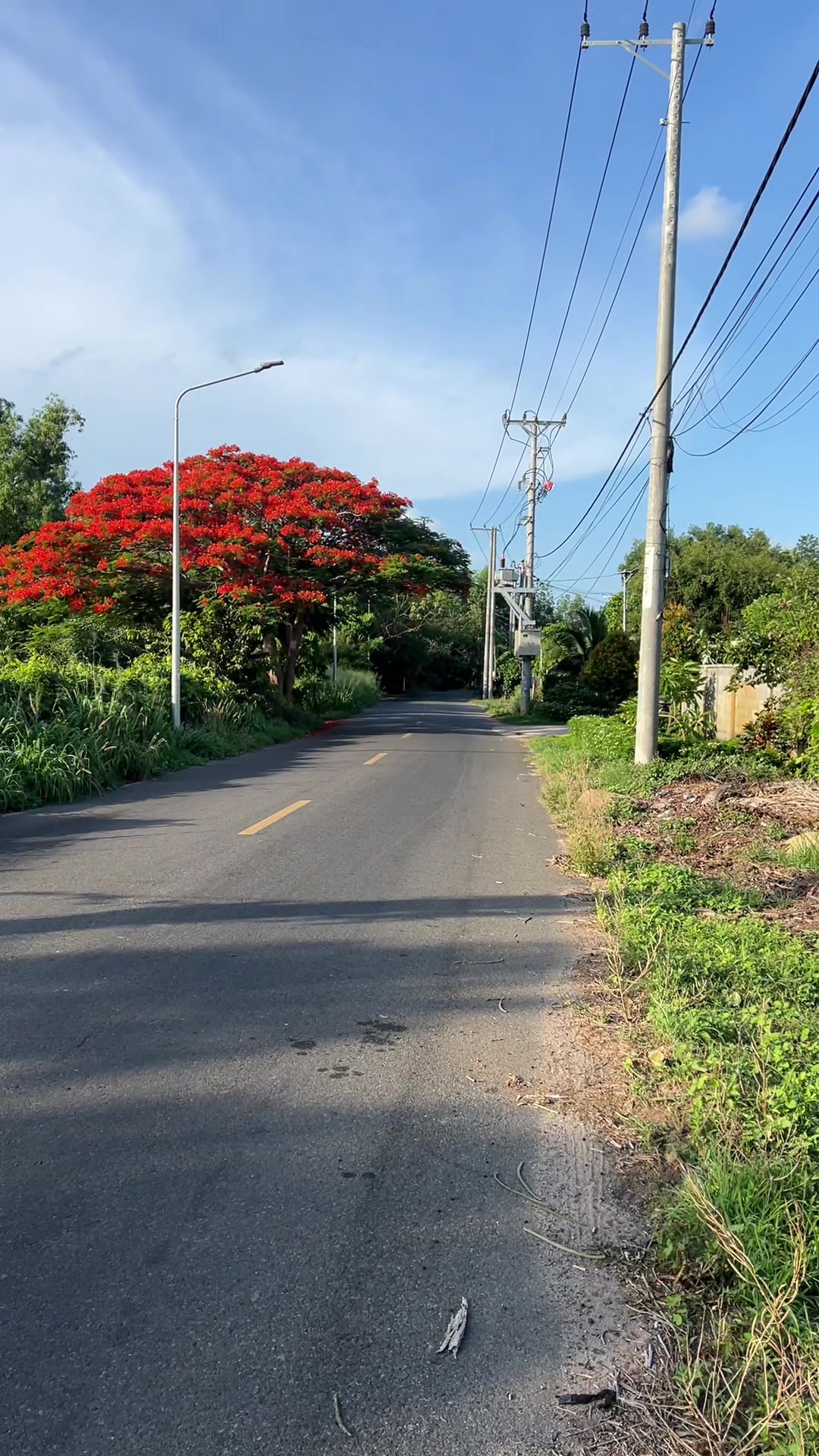 @Kh&aacute;nh h&iacute; qu&ecirc; Bạc Li&ecirc;u